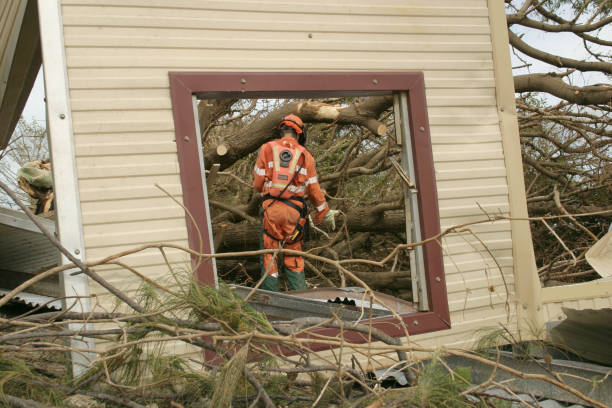 Best Commercial Tree Services  in Bedford, IA